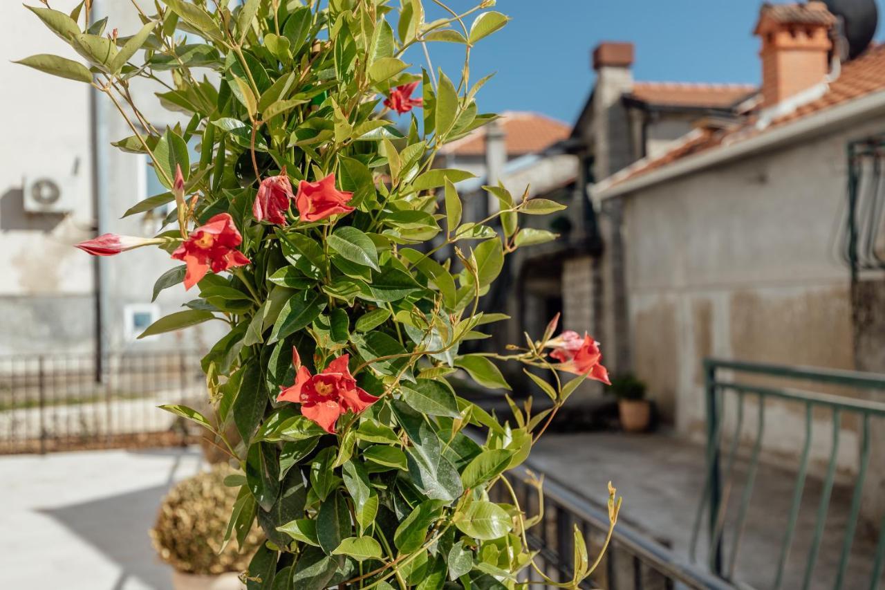 Boka Apartment 6 Herceg Novi Exterior photo